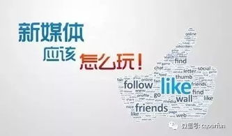 新媒体营销策划 引爆行业市场的全链路策略与实战